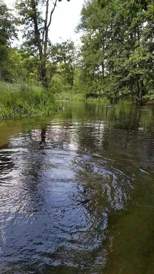 Domki Letniskowe Lesne Spa Borsk Nad Jeziorem Wdzydzkim Basen Sauna Balia Extérieur photo